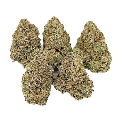 Gelato 41