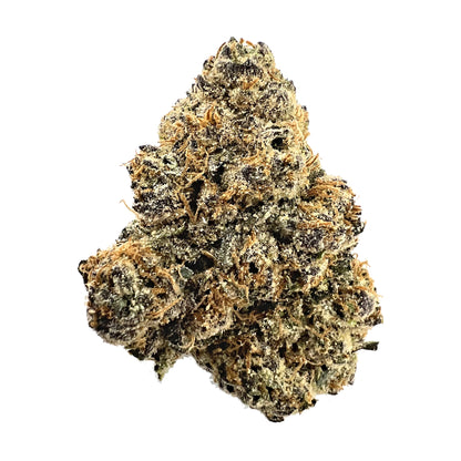 Gelato 41