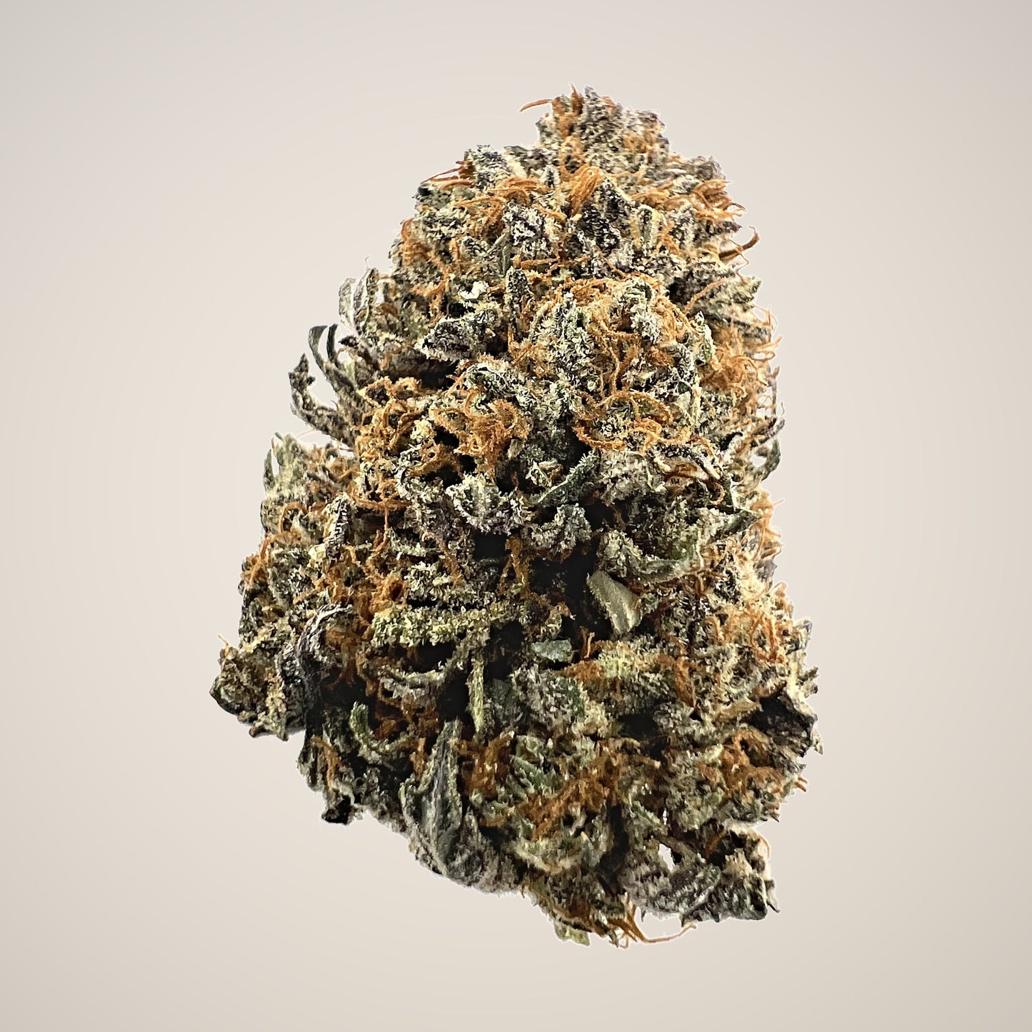 Platinum Bubba